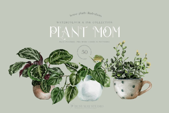 Download House Plants Illustrations and Patterns - Premium Resources